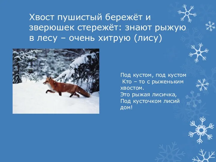 Хвост пушистый бережёт и зверюшек стережёт: знают рыжую в лесу