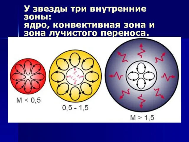 У звезды три внутренние зоны: ядро, конвективная зона и зона лучистого переноса.