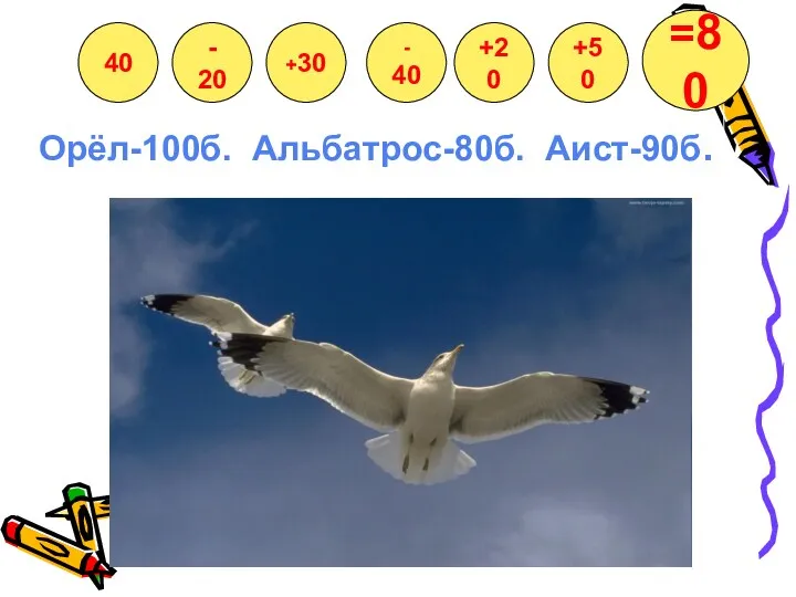 Орёл-100б. Альбатрос-80б. Аист-90б. 40 - 20 +30 - 40 +20 +50 =80