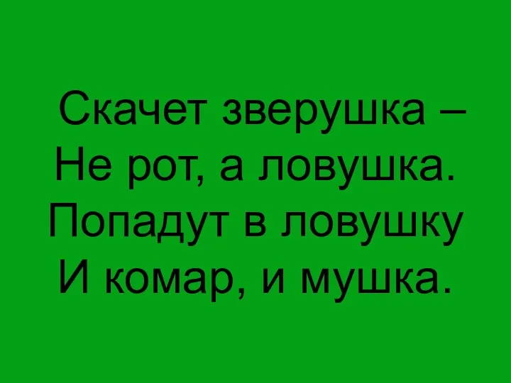 Скачет зверушка – Не рот, а ловушка. Попадут в ловушку И комар, и мушка.