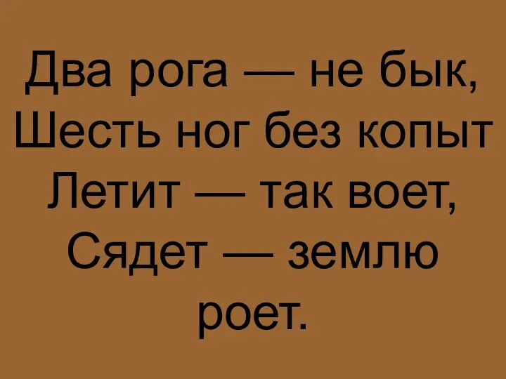 Два рога — не бык, Шесть ног без копыт Летит