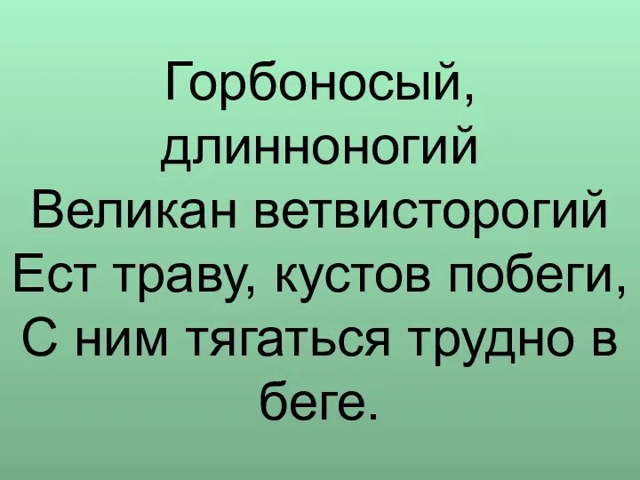 Горбоносый, длинноногий Великан ветвисторогий Ест траву, кустов побеги, С ним тягаться трудно в беге.