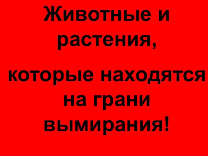 Животные и растения, которые находятся на грани вымирания!