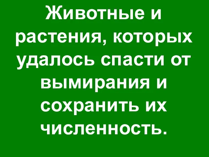 Животные и растения, которых удалось спасти от вымирания и сохранить их численность.