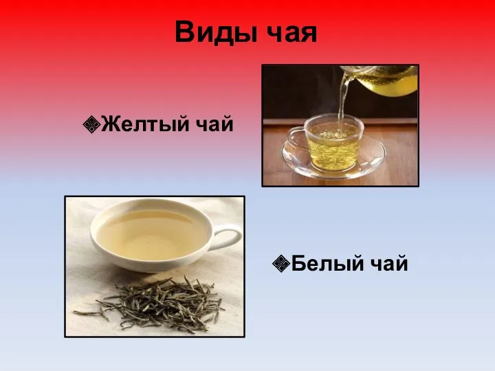 Виды чая Желтый чай Белый чай