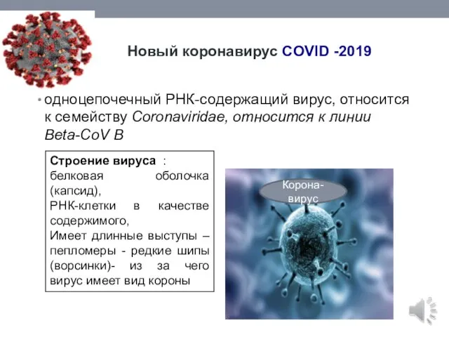 Новый коронавирус COVID -2019 одноцепочечный РНК-содержащий вирус, относится к семейству