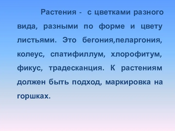 Растения - с цветками разного вида, разными по форме и цвету листьями. Это