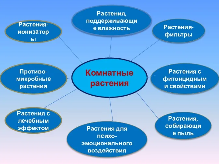 Комнатные растения Растения-фильтры Растения, собирающие пыль Растения-ионизаторы Растения для психо-эмоционального воздействия Растения с