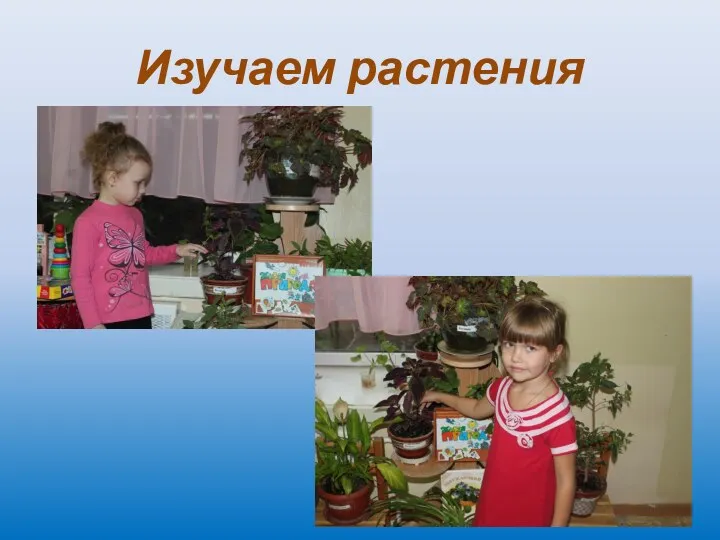 Изучаем растения