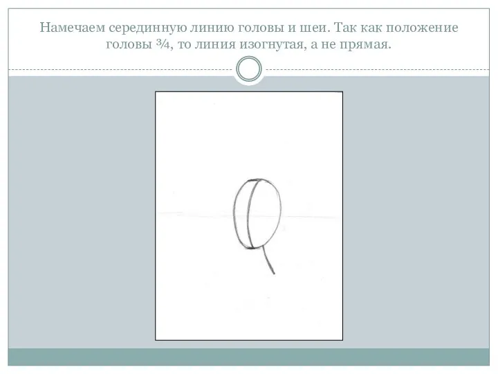Намечаем серединную линию головы и шеи. Так как положение головы ¾, то линия