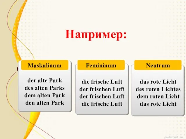 Например: Neutrum Femininum Maskulinum der alte Park des alten Parks