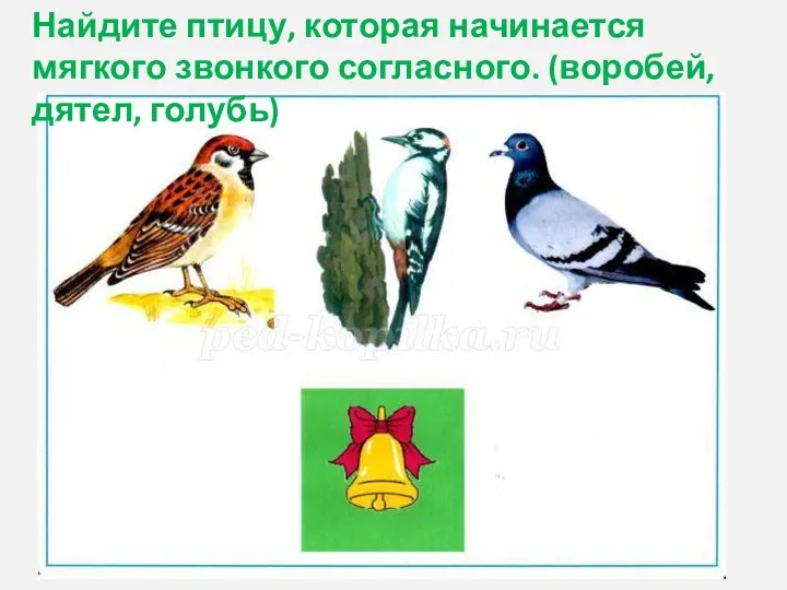 Найдите птицу, которая начинается мягкого звонкого согласного. (воробей, дятел, голубь)