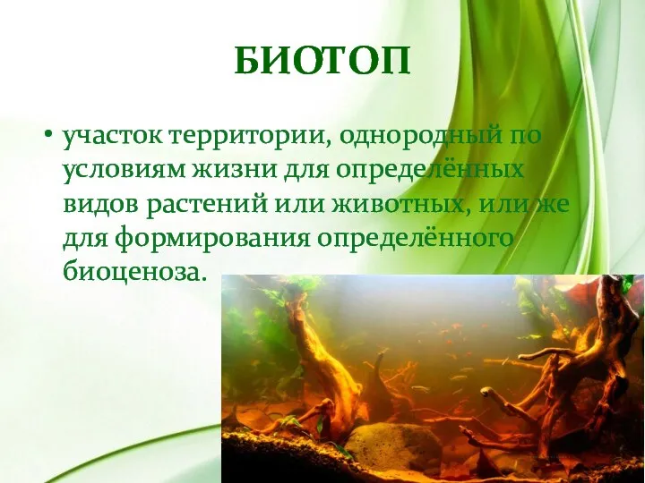 Биотоп участок территории, однородный по условиям жизни для определённых видов растений или животных,