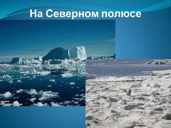 На Северном полюсе