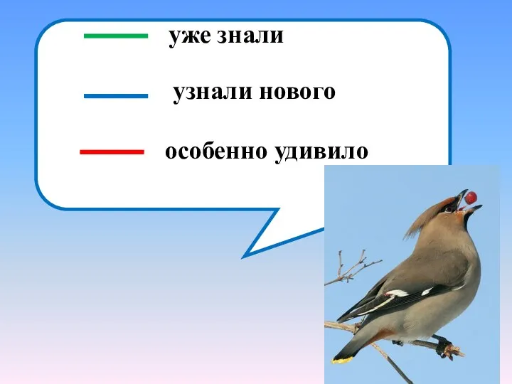 уже знали узнали нового особенно удивило