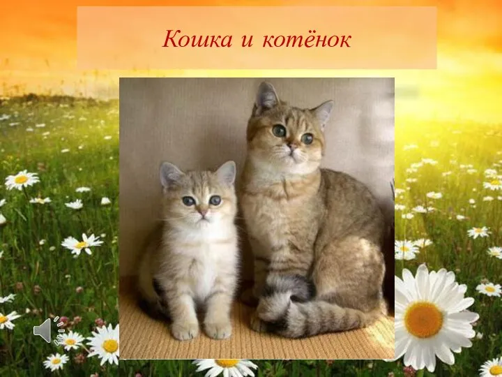 Кошка и котёнок