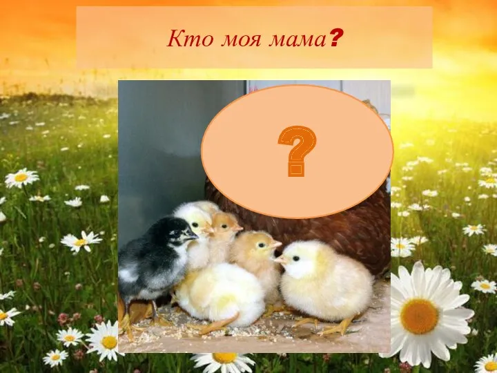 Кто моя мама? ?