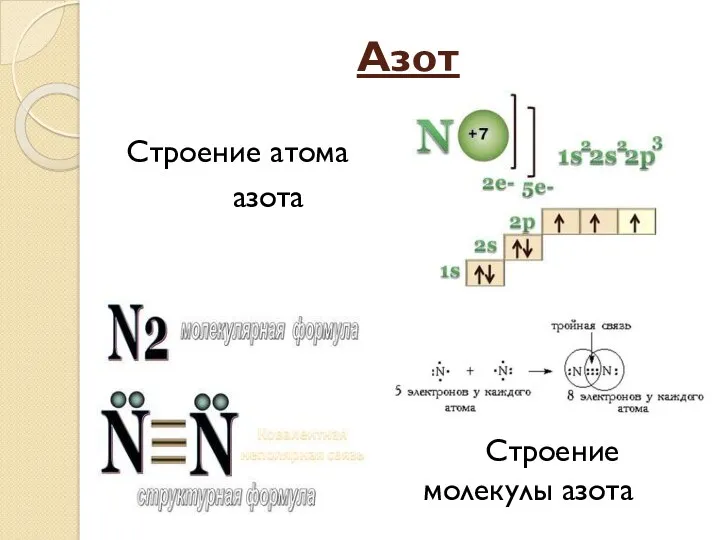 Азот Строение атома азота Строение молекулы азота