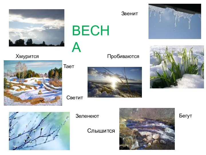 Бегут Тает Пробиваются Звенит Светит Зеленеют Хмурится ВЕСНА Слышится