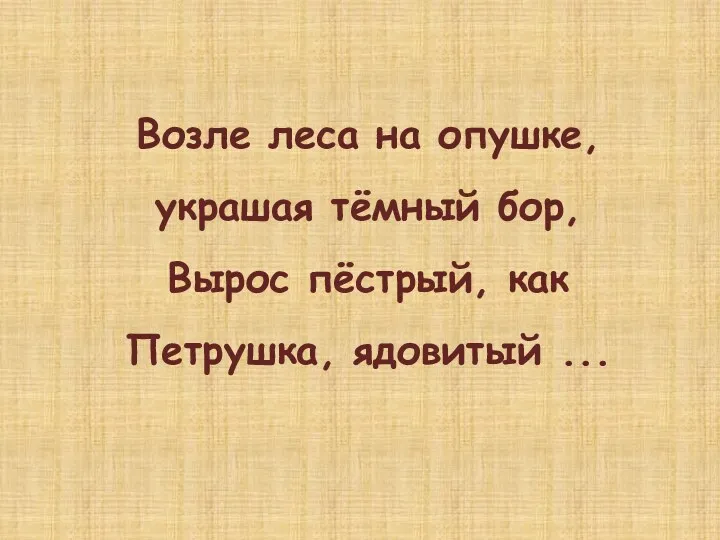 Возле леса на опушке, украшая тёмный бор, Вырос пёстрый, как Петрушка, ядовитый ...