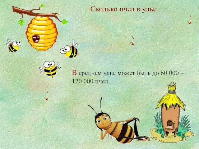 Сколько пчел в улье В среднем улье может быть до 60 000 – 120 000 пчел.