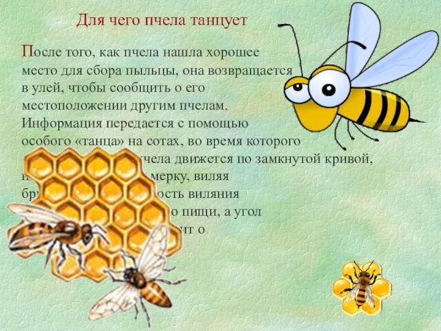 Для чего пчела танцует После того, как пчела нашла хорошее