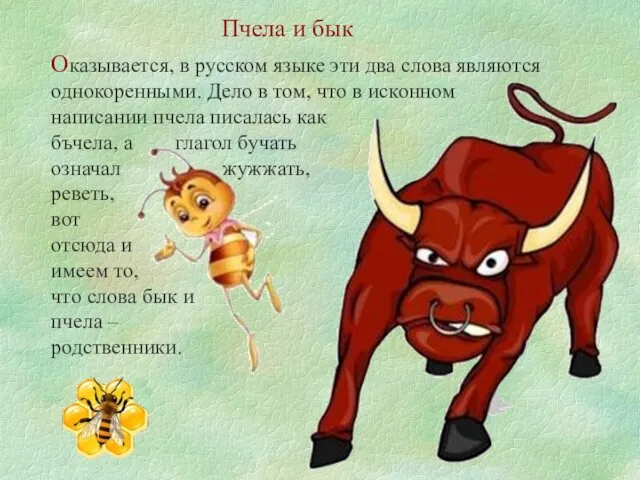 Пчела и бык Оказывается, в русском языке эти два слова