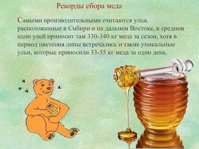 Рекорды сбора меда Самыми производительными считаются ульи, расположенные в Сибири