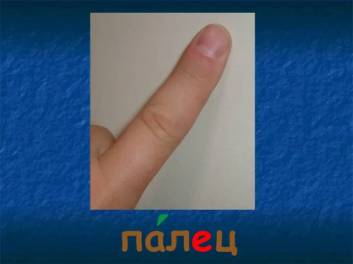 палец палец