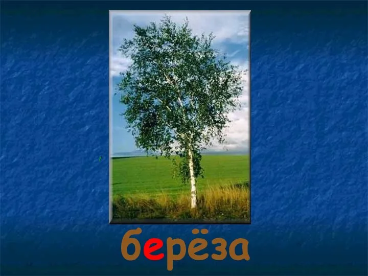 берёза берёза