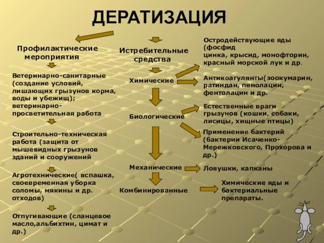 ДЕРАТИЗАЦИЯ Профилактические мероприятия Ветеринарно-санитарные (создание условий, лишающих грызунов корма, воды