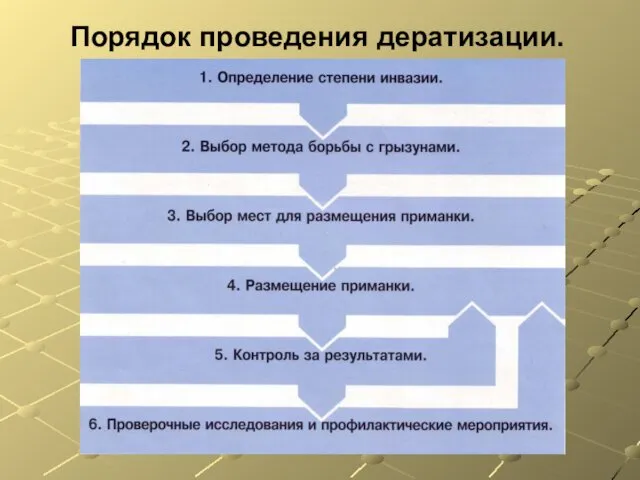 Порядок проведения дератизации.