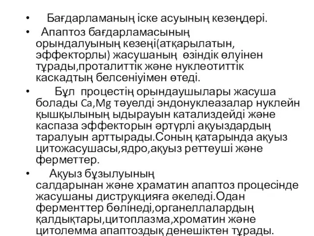 Бағдарламаның іске асуының кезеңдері. Апаптоз бағдарламасының орындалуының кезеңі(атқарылатын,эффекторлы) жасушаның өзіндік