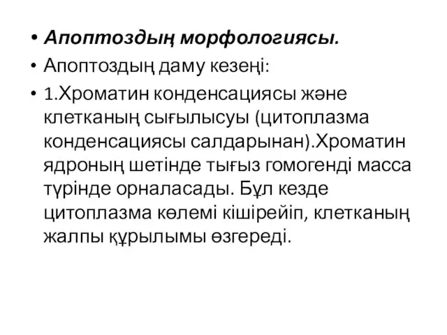 Апоптоздың морфологиясы. Апоптоздың даму кезеңі: 1.Хроматин конденсациясы және клетканың сығылысуы