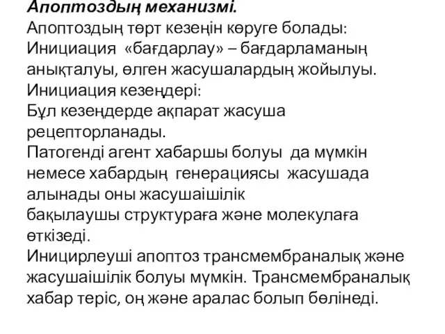 Апоптоздың механизмі. Апоптоздың төрт кезеңін көруге болады: Инициация «бағдарлау» – бағдарламаның анықталуы, өлген