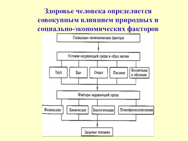 Здоровье человека определяется совокупным влиянием природных и социально-экономических факторов