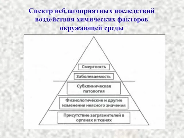 Спектр неблагоприятных последствий воздействия химических факторов окружающей среды