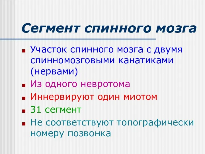 Сегмент спинного мозга Участок спинного мозга с двумя спинномозговыми канатиками