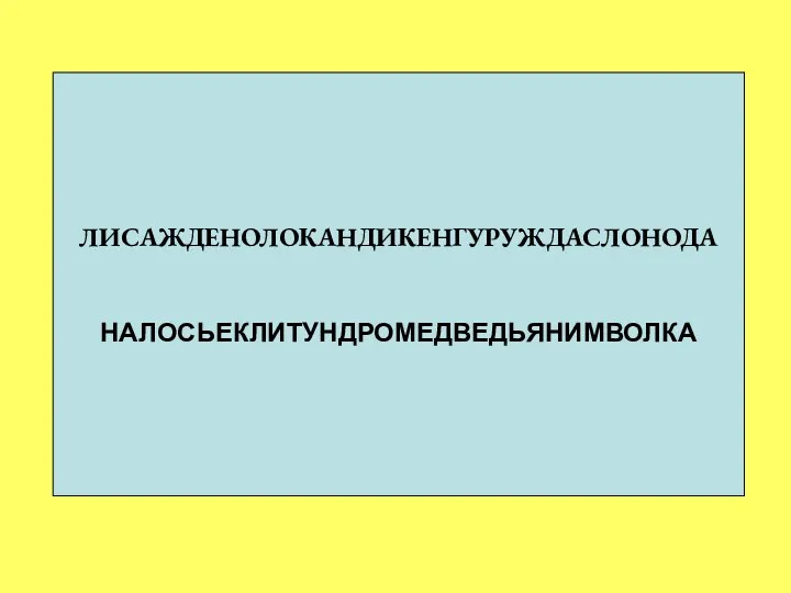 ЛИСАЖДЕНОЛОКАНДИКЕНГУРУЖДАСЛОНОДА НАЛОСЬЕКЛИТУНДРОМЕДВЕДЬЯНИМВОЛКА