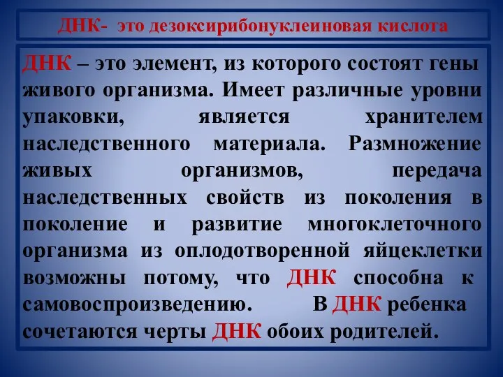 ДНК – это элемент, из которого состоят гены живого организма.