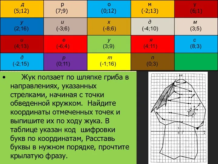 Жук ползает по шляпке гриба в направлениях, указанных стрелками, начиная