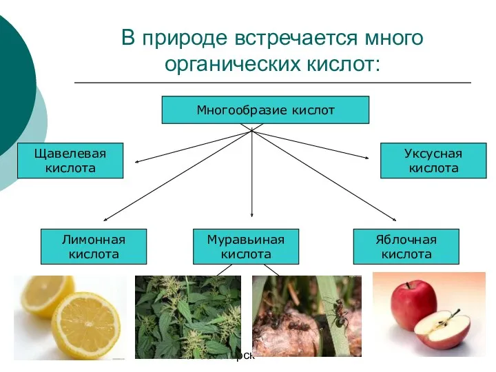 09/23/2023 Душак О.М. Железногорск В природе встречается много органических кислот: