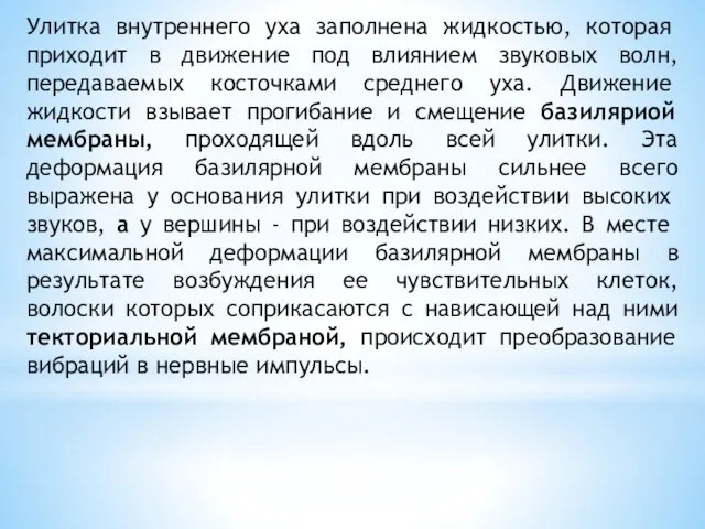 Улитка внутреннего уха заполнена жидко­стью, которая приходит в движение под