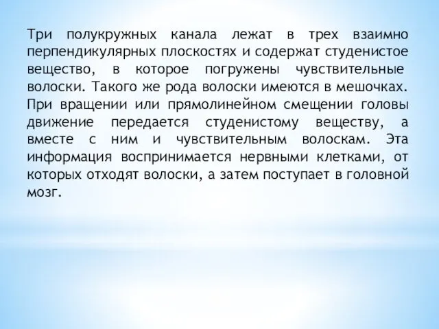 Три полукружных канала лежат в трех взаимно перпендикулярных плоскостях и