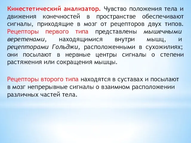 Кинестетический анализатор. Чувство положения тела и движения конечностей в пространстве