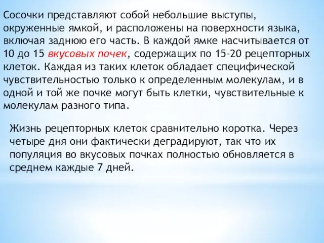 Сосочки представляют собой небольшие выступы, окруженные ямкой, и расположены на