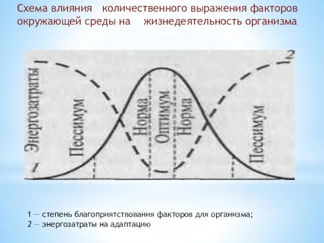 1 — степень благоприятствования факторов для организма; 2 — энергозатраты