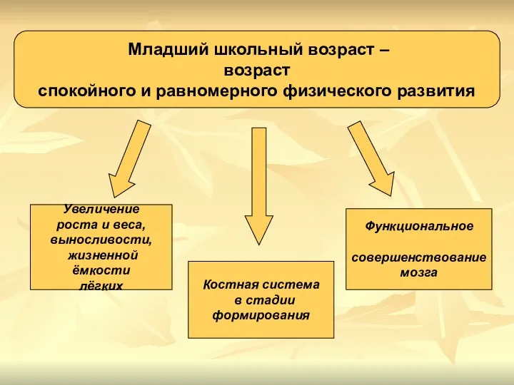 Младший школьный возраст – возраст спокойного и равномерного физического развития