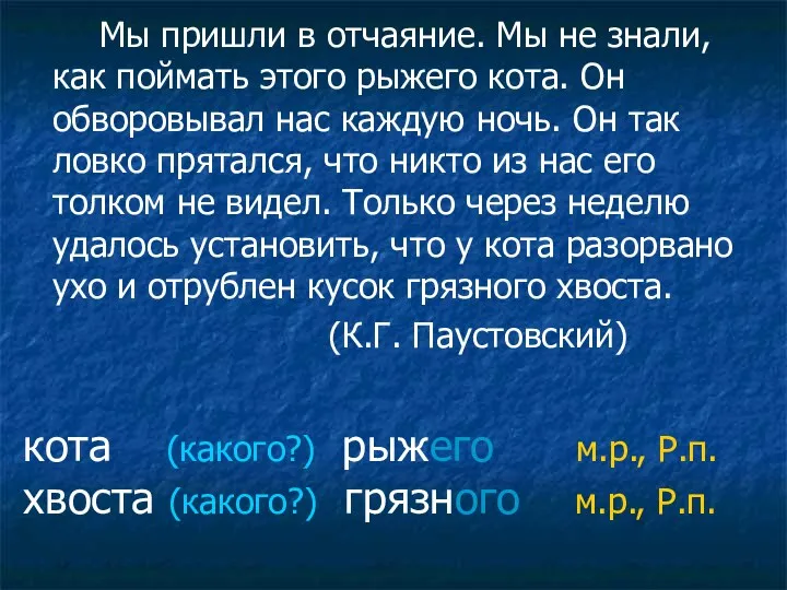 Мы пришли в отчаяние. Мы не знали, как поймать этого