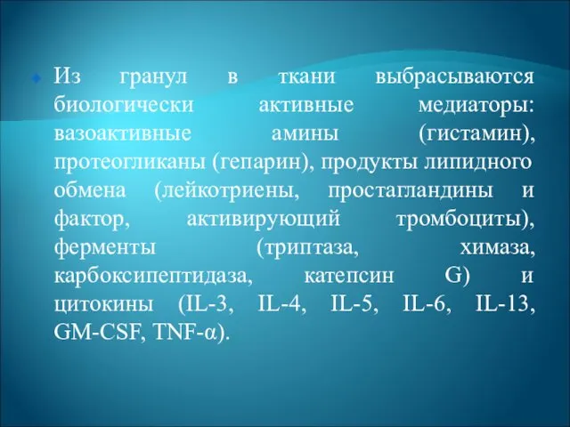 Из гранул в ткани выбрасываются биологически активные медиаторы: вазоактивные амины